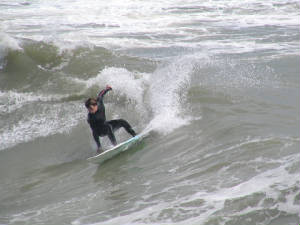tlcutback48.jpg