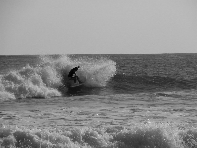 ds101104bw.jpg